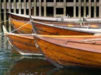 Oselvarstavner - Oselvar sterns in profile